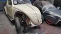 Volkswagen Escarabajo Beige - thumbnail 16