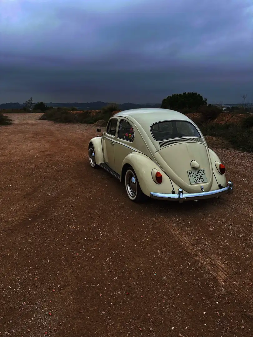 Volkswagen Escarabajo Beige - 1