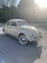 Volkswagen Escarabajo Beige - thumbnail 7