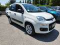 Fiat Panda Panda 0.9 TwinAir Turbo Natural Power Easy Bianco - thumbnail 4