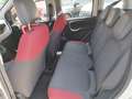 Fiat Panda Panda 0.9 TwinAir Turbo Natural Power Easy Bianco - thumbnail 12
