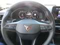 CUPRA Formentor 1,5 TSI 7 GANG DSG Kamera Noir - thumbnail 19
