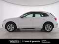 Audi Q5 Q5 2.0 TDI quattro S tronic Business Bianco - thumbnail 4