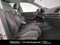 Audi Q5 Q5 2.0 TDI quattro S tronic Business Bianco - thumbnail 13