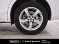 Audi Q5 Q5 2.0 TDI quattro S tronic Business Bianco - thumbnail 11