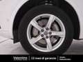 Audi Q5 Q5 2.0 TDI quattro S tronic Business Bianco - thumbnail 23