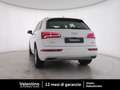 Audi Q5 Q5 2.0 TDI quattro S tronic Business Bianco - thumbnail 5
