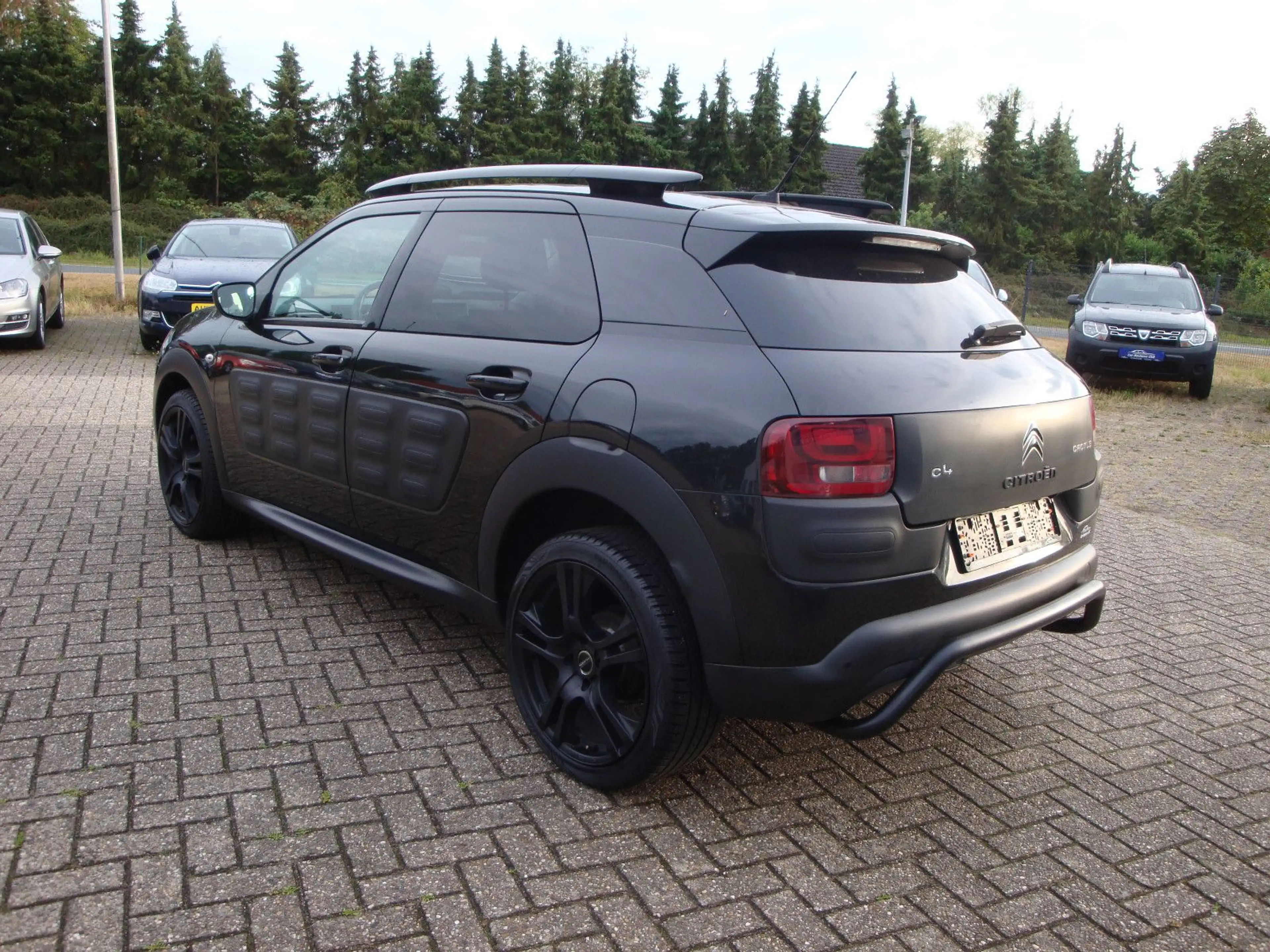 Citroen C4 Cactus Business Class — photo 6