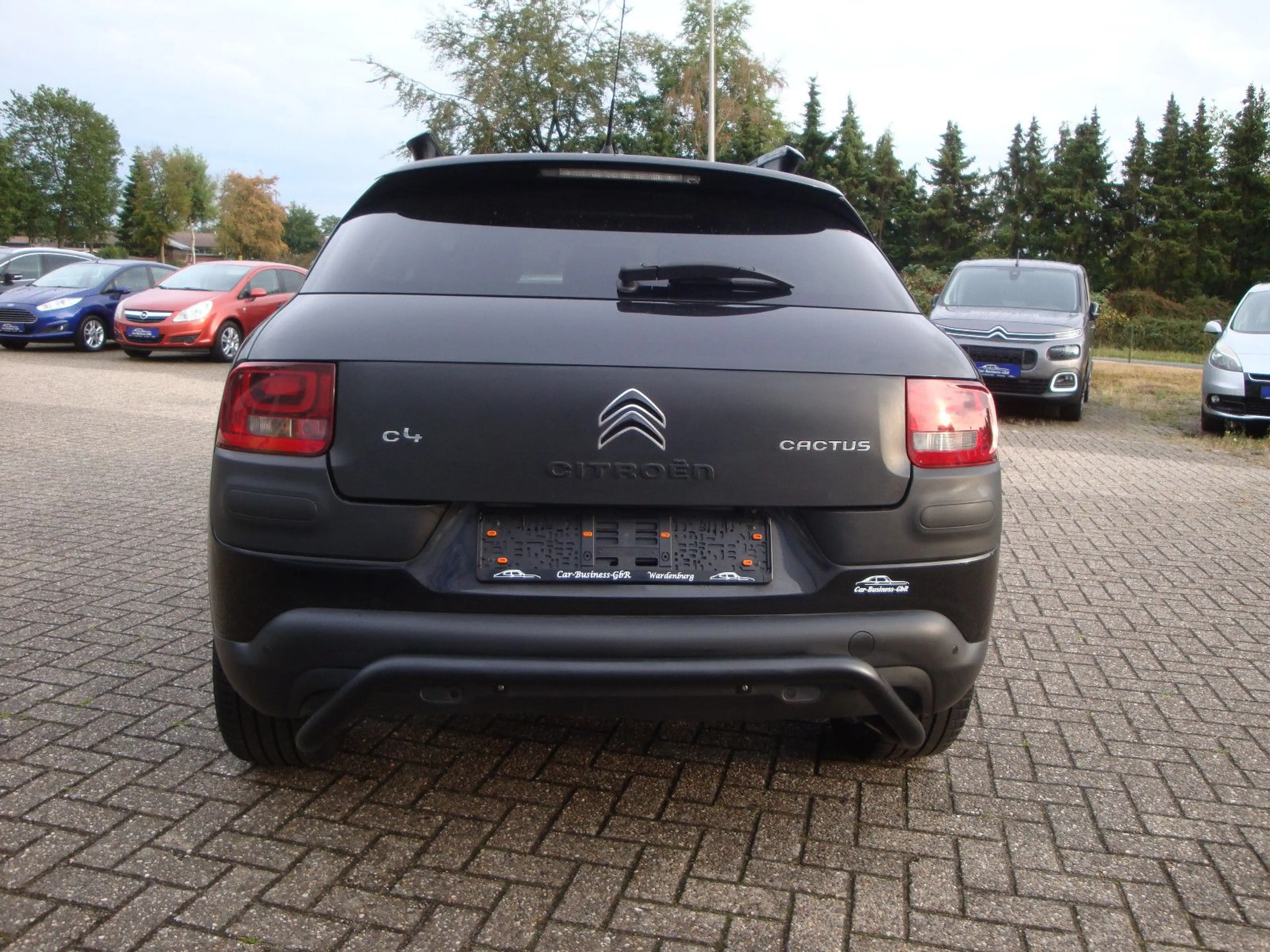 Citroen C4 Cactus Business Class — photo 5
