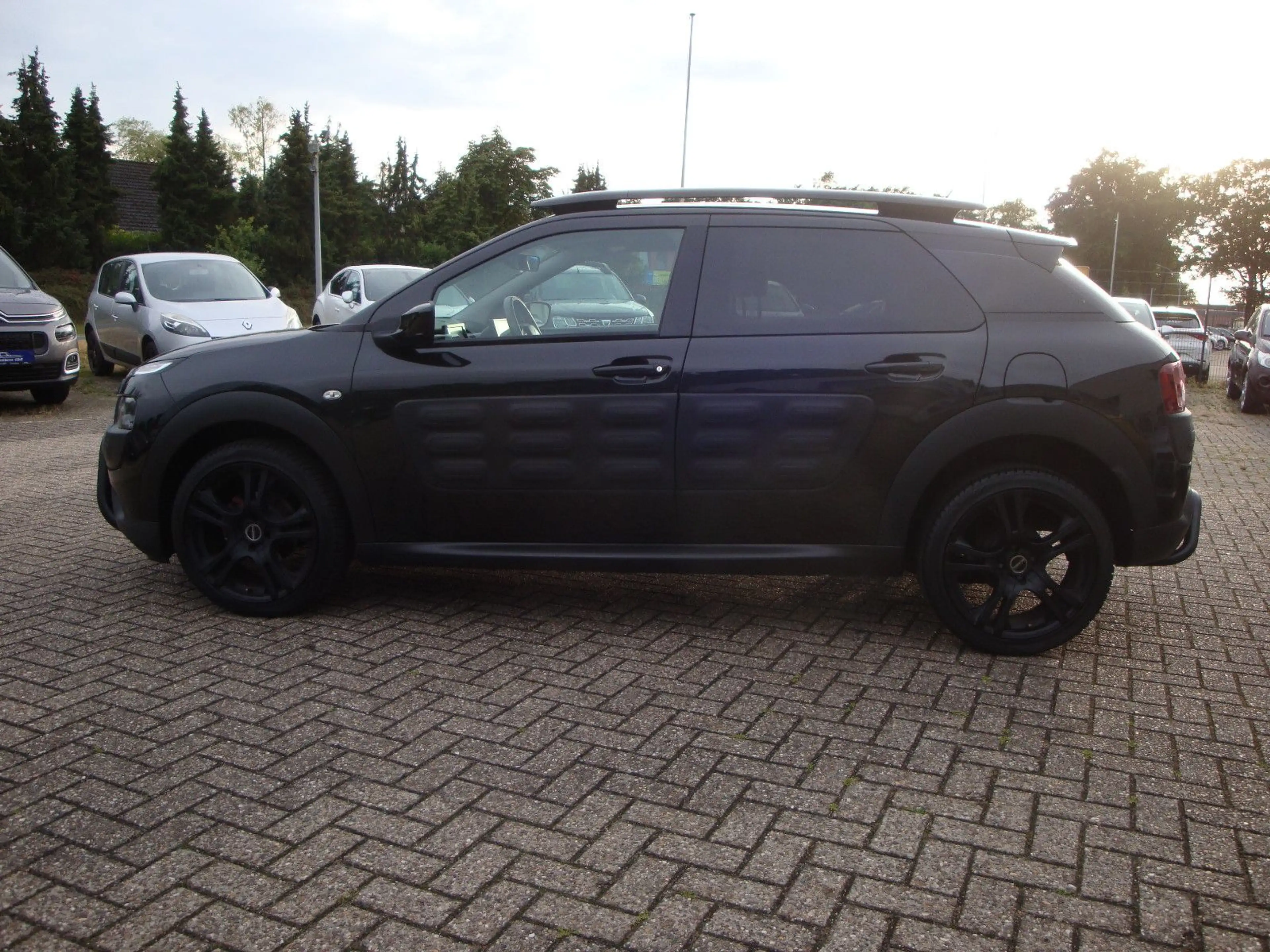 Citroen C4 Cactus Business Class — photo 7