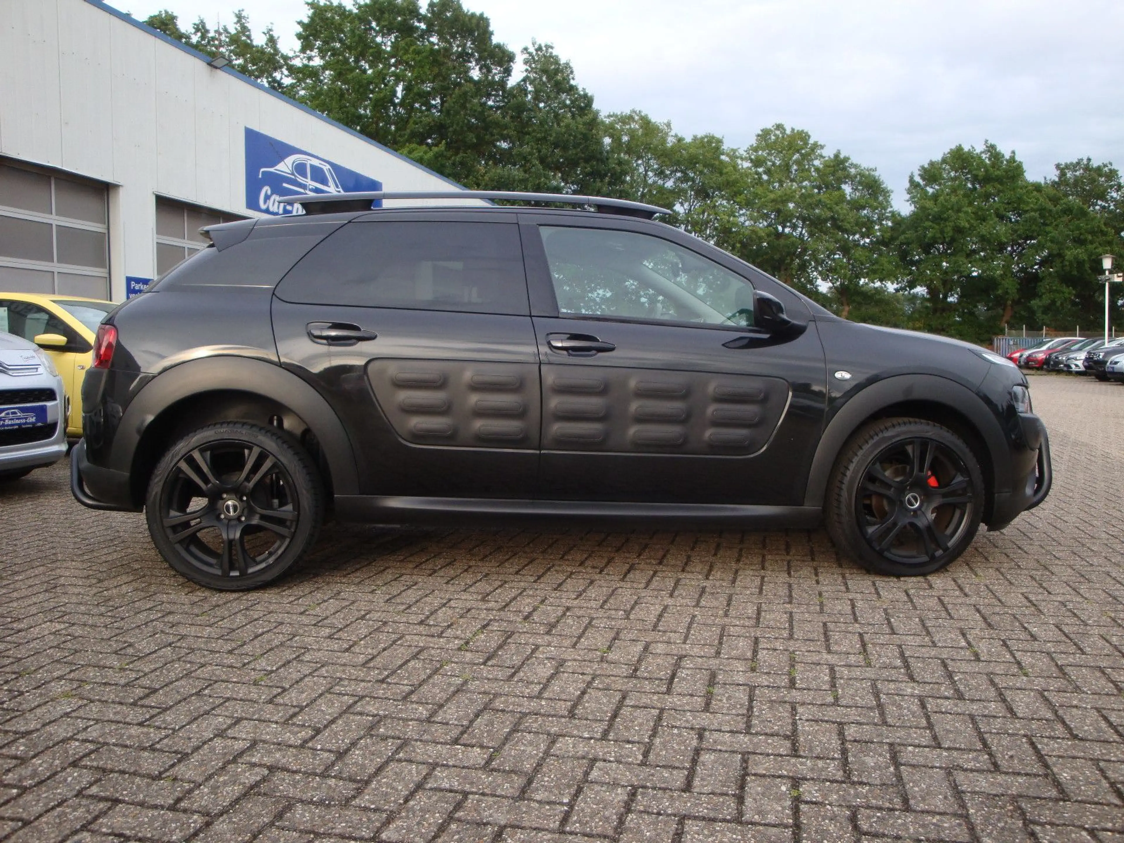 Citroen C4 Cactus Business Class — photo 3