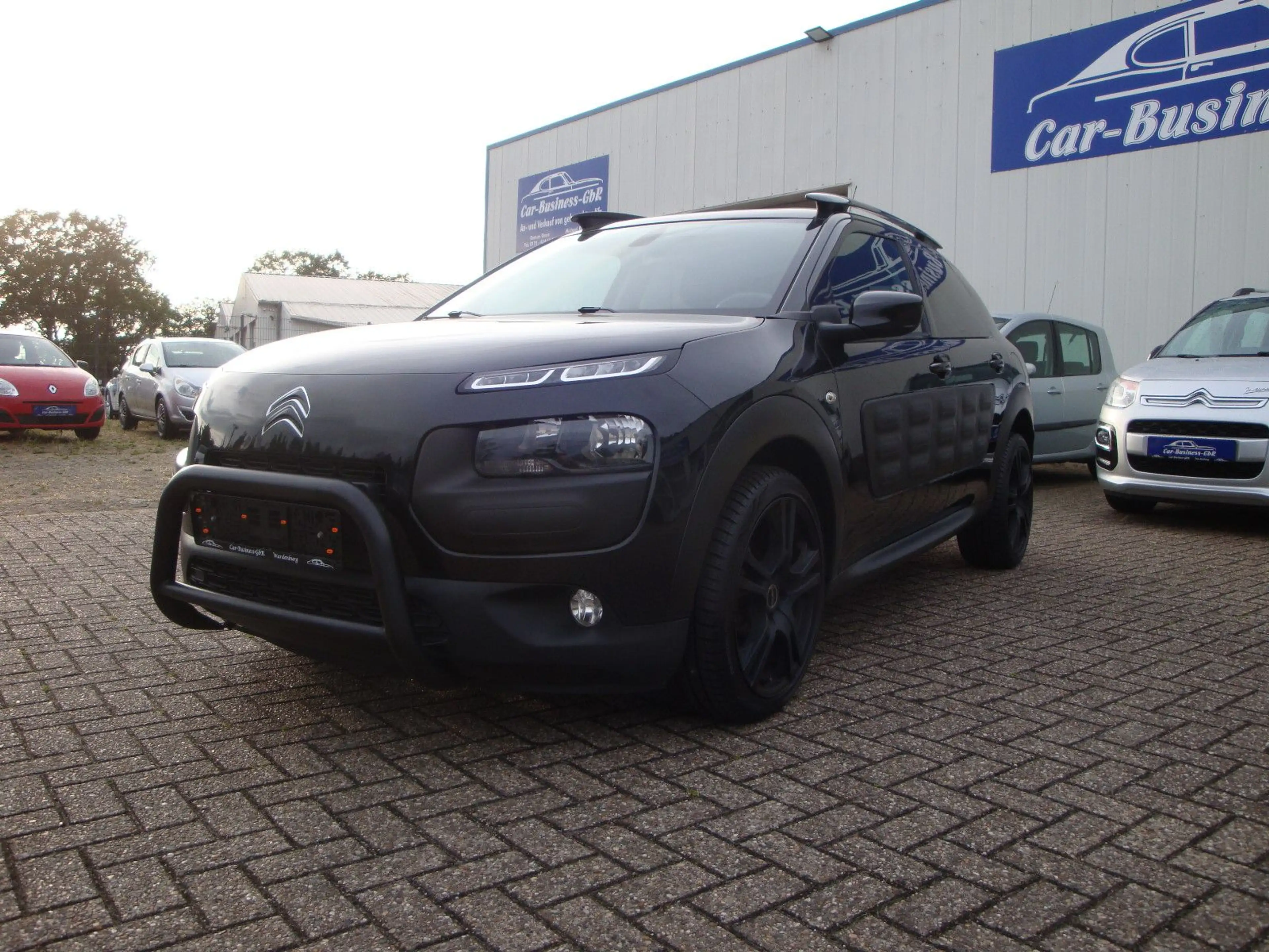 Citroen C4 Cactus Business Class — photo 8