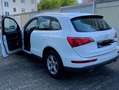 Audi Q5 Q5 Diesel 3.0 TDI quattro S tronic Weiß - thumbnail 1