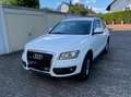 Audi Q5 Q5 Diesel 3.0 TDI quattro S tronic Weiß - thumbnail 5