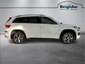 Skoda Kodiaq 4x4 SPORTLINE TDI DSG Weiß - thumbnail 3