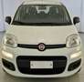 Fiat Panda Panda 1.2 benzina Easy 69 cv E6 Blanc - thumbnail 2
