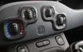 Fiat Panda Panda 1.2 benzina Easy 69 cv E6 Blanc - thumbnail 11