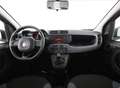 Fiat Panda Panda 1.2 benzina Easy 69 cv E6 Blanc - thumbnail 8