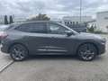 Ford Kuga 2.5 Duratec PHEV ST-Line X ACC/RFK/LED Grau - thumbnail 5