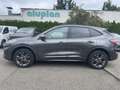 Ford Kuga 2.5 Duratec PHEV ST-Line X ACC/RFK/LED Grau - thumbnail 11