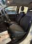 Fiat Panda Panda Cross 1.0 hybrid - UnicoPro - Blanc - thumbnail 6