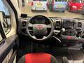 Fiat Ducato L1H1 Rolstoelbus Automaat Zwart - thumbnail 20