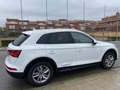 Audi Q5 Q5 3.0TDI quattro S-T DPF Blanco - thumbnail 4