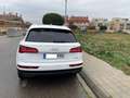 Audi Q5 Q5 3.0TDI quattro S-T DPF Blanco - thumbnail 3