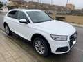 Audi Q5 Q5 3.0TDI quattro S-T DPF Blanco - thumbnail 5