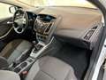 Ford Focus 1.6 Limousine +KLIMA+MUFU-LENKRAD+GARANTIE Wit - thumbnail 8