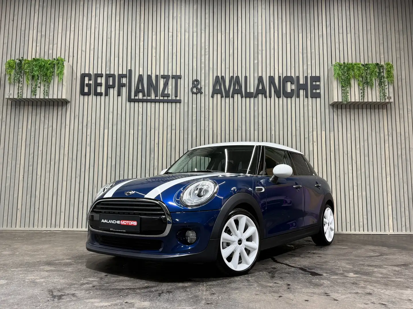 MINI Cooper D Chilli Edit LED-Scheinwerfer 18'' Keyless Automat Blau - 2