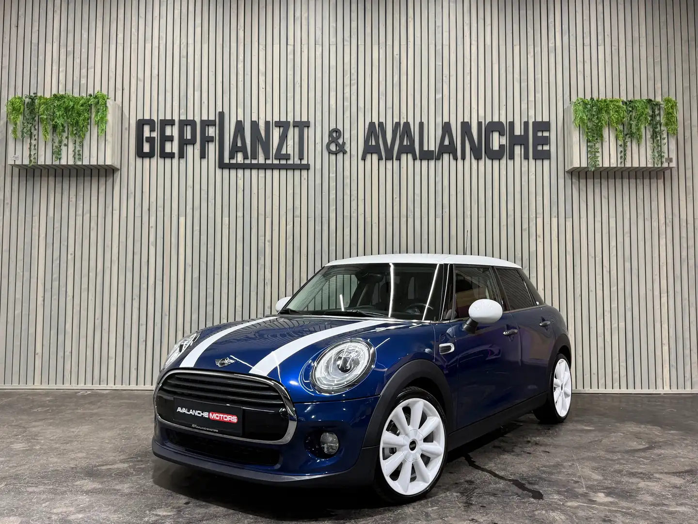 MINI Cooper D Chilli Edit LED-Scheinwerfer 18'' Keyless Automat Blau - 1