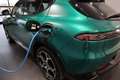 Alfa Romeo Tonale 1.3 T4 PHEV VGT e-AWD Veloce Grün - thumbnail 33