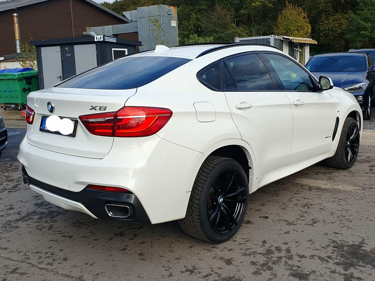 BMW X6 xDrive 40 d M Sport-Paket Pano HUD ACC Keyless Weiß - 1