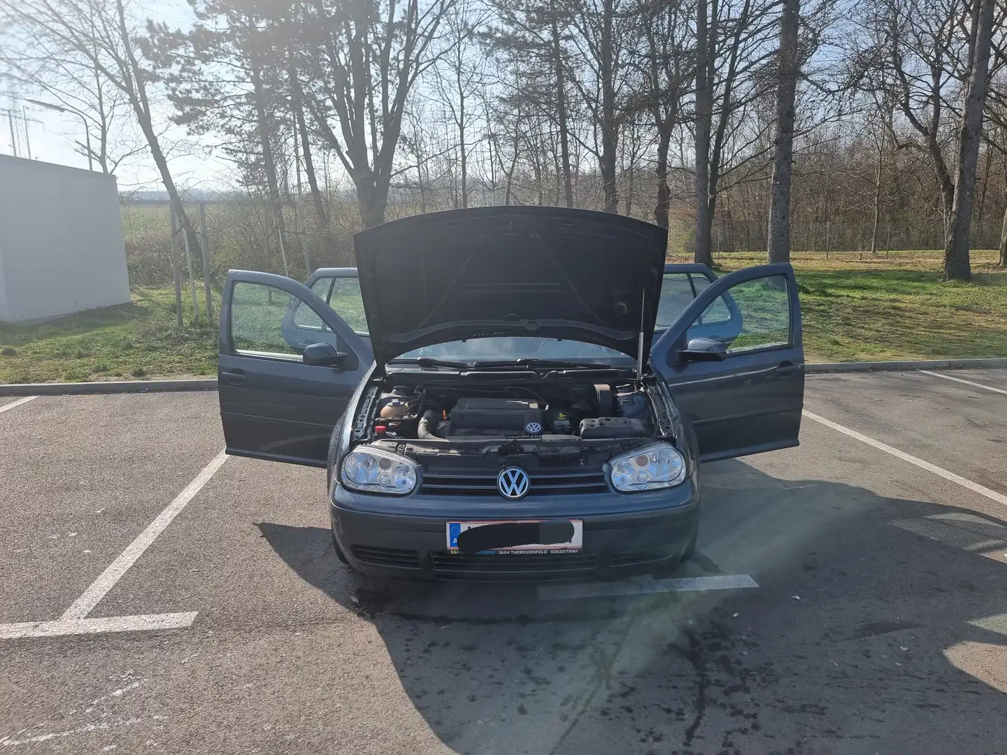 Volkswagen Golf Golf Rabbit Grau - 1