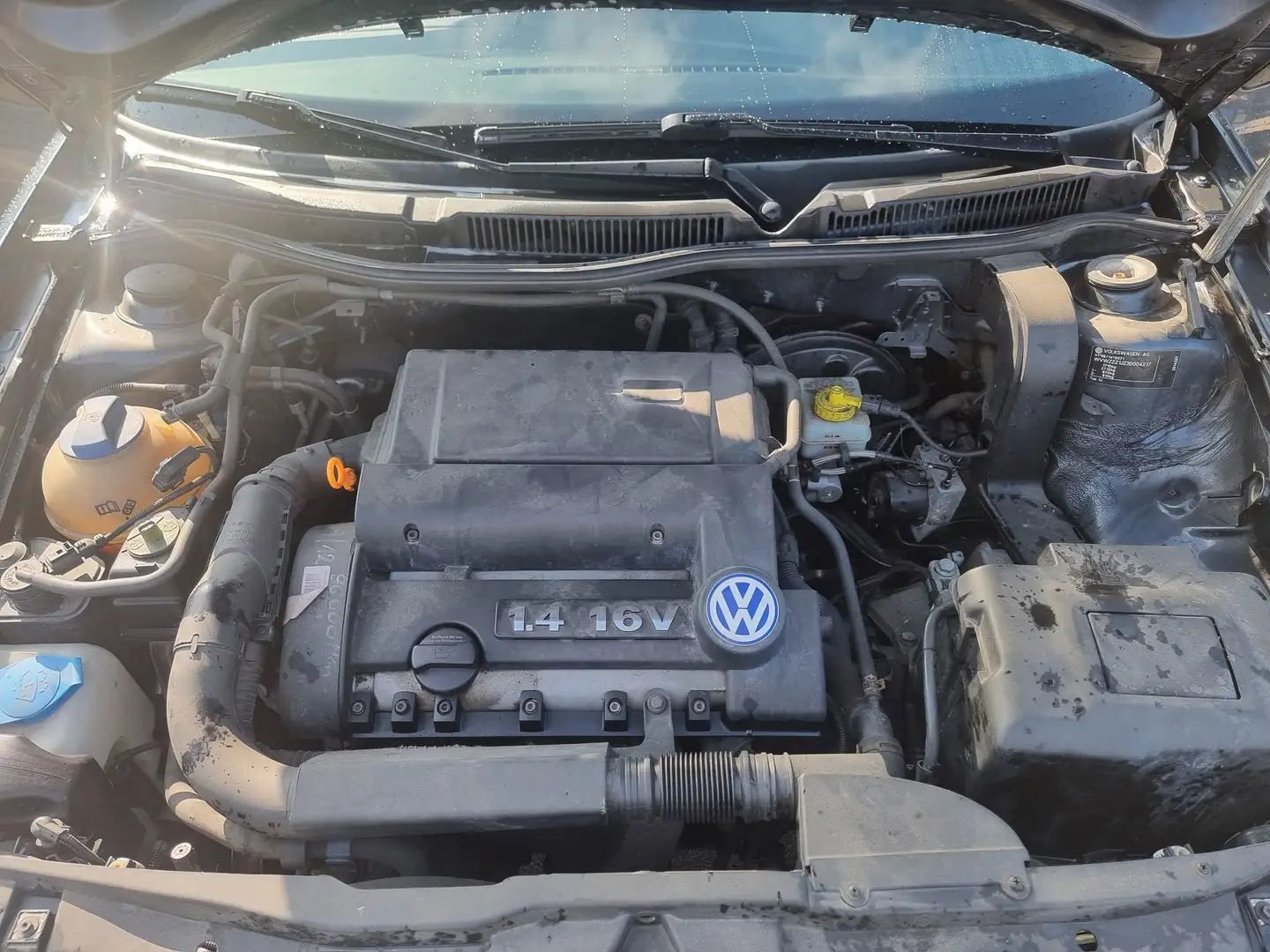 Volkswagen Golf Golf Rabbit Grau - 2