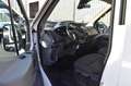 Ford Transit 2.0 EcoBlue 350 L3H2 Rollstuhlgerecht Rampe Weiß - thumbnail 12