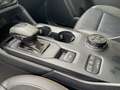 Ford Ranger Wildtrak X Doppelkabine LKW *LED-MATRIX* Argent - thumbnail 19