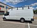 Ford Transit Ford Transit FT 350 EL Trend 2,2 TDCi L4H3 Weiß - thumbnail 6