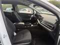 Kia Sportage 1.6 T-GDi HEV 158kW (215CV) Drive 4x2 - thumbnail 15