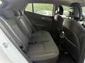 Kia Sportage 1.6 T-GDi HEV 158kW (215CV) Drive 4x2 - thumbnail 16