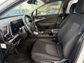 Kia Sportage 1.6 T-GDi HEV 158kW (215CV) Drive 4x2 - thumbnail 13