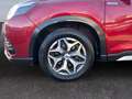 Subaru Forester Trend HYBRID/AUTOMATIK/4X4/LED/ACC/AHK/ Rouge - thumbnail 9