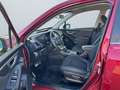 Subaru Forester Trend HYBRID/AUTOMATIK/4X4/LED/ACC/AHK/ Rouge - thumbnail 12