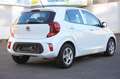 Kia Picanto Kia Edition 7 /Sitz-Lenkradheiz./Klima/Bluetooth Blanc - thumbnail 5
