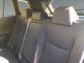 Toyota Corolla Cross 2.0 Active Drive 4x2          8-fach bereift! Weiß - thumbnail 13