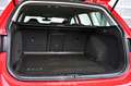 Volkswagen Golf VII Alltrack 4Motion 2.0 TDI DSG Pickerl NEU EXP Rojo - thumbnail 25