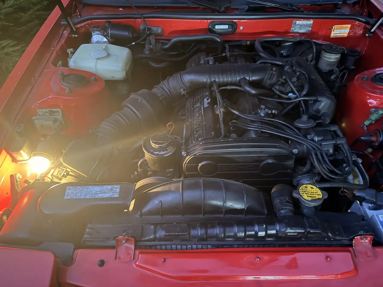 Toyota Supra Leder, foto 5