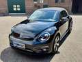 Volkswagen Beetle Beetle Cabriolet 1.2 TSI BlueMotion ALLSTAR Plus Black - thumbnail 6