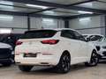 Opel Grandland X Grandland Business 360*LED*SBLF*APS*PARK&GO*1.H Weiß - thumbnail 17
